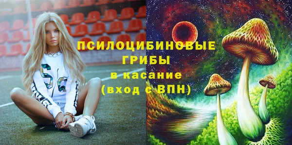 apvp Алексеевка