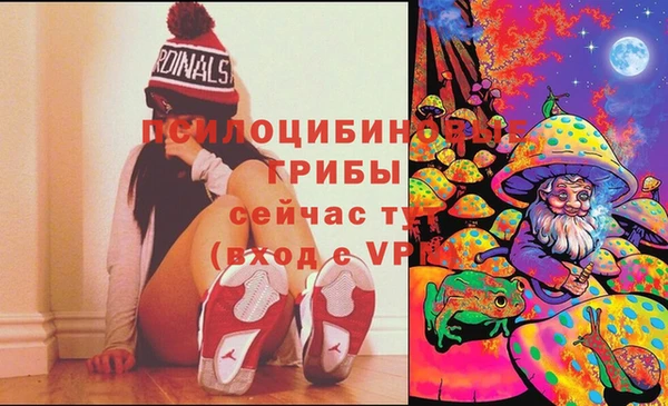 mdpv Алзамай