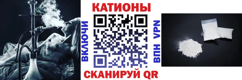 МЕФ  Котлас