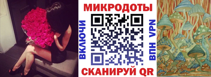 блэк спрут ссылки  Котлас  Галлюциногенные грибы Psilocybine cubensis 