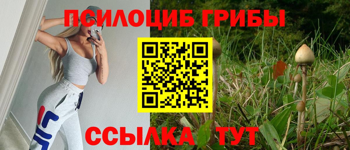 Котлас  Галлюциногенные грибы прущие грибы  Вход с VPN 
